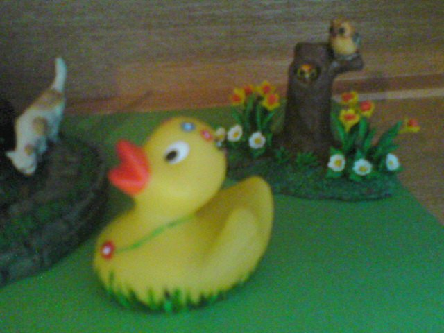 Flower hand painted Rubber Duck
