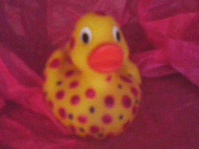Dotty hand painted rubber duck