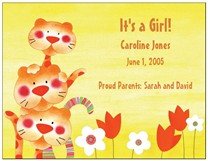 Welcome Our Baby Girl