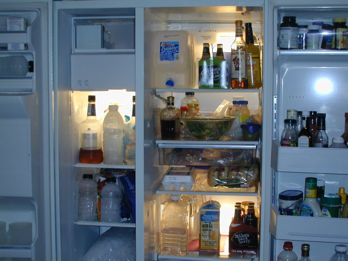 GE Refridgerator