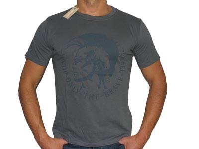Diesel Mens Tshirt.Product ID:mtsh16