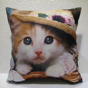 The Cat in the Hat cushion home decor modern decoration sofa cover throw 47