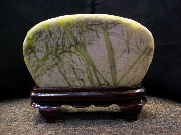 Tree Scenery Stone