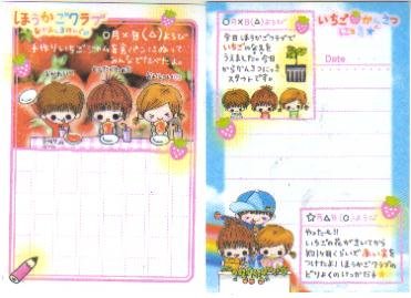 Japan Kamio Strawberry Diary Memos