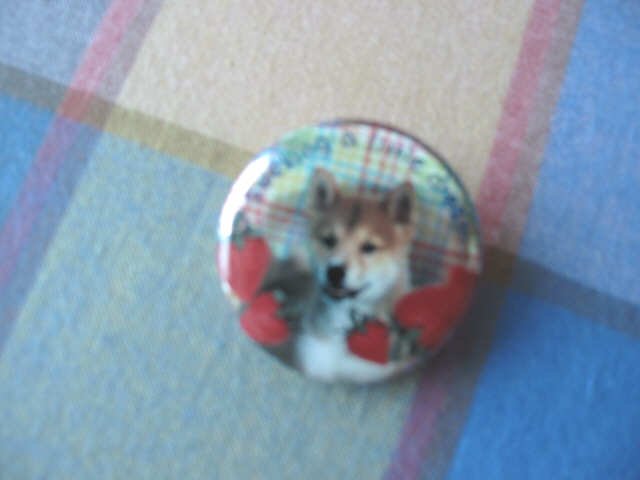 Japan Doggie with Strawberry Metal Pin / Button Kawaii