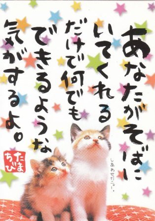 Japan Kamio Kitten w/ Stars Postcard KAWAII