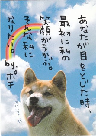 Japan Kamio Puppy w/ Rainbow Postcard KAWAII