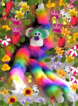 Rainbow Comfee Monkee