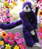 Violet Comfee Monkee
