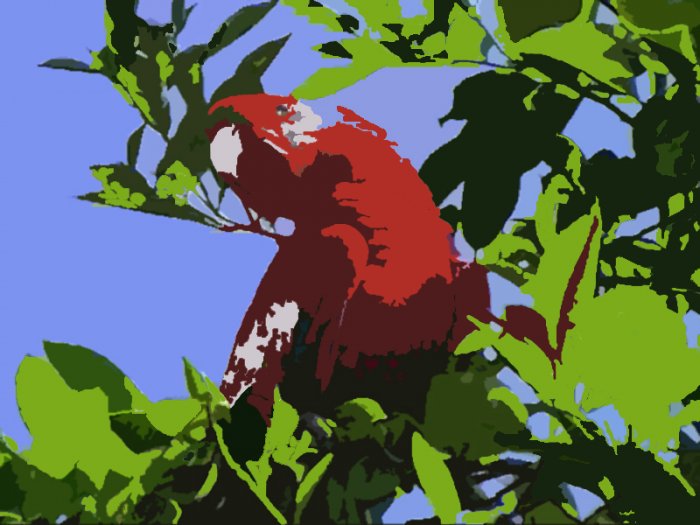 The Parrot Acrylic Pop Art Painting