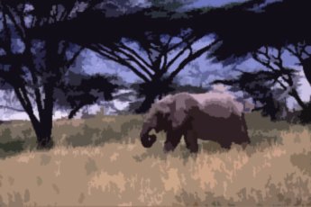 An Elephant's Life Acrylic Pop Art Painting