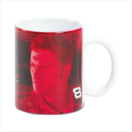 Dale Earnhardt Jr. The Man