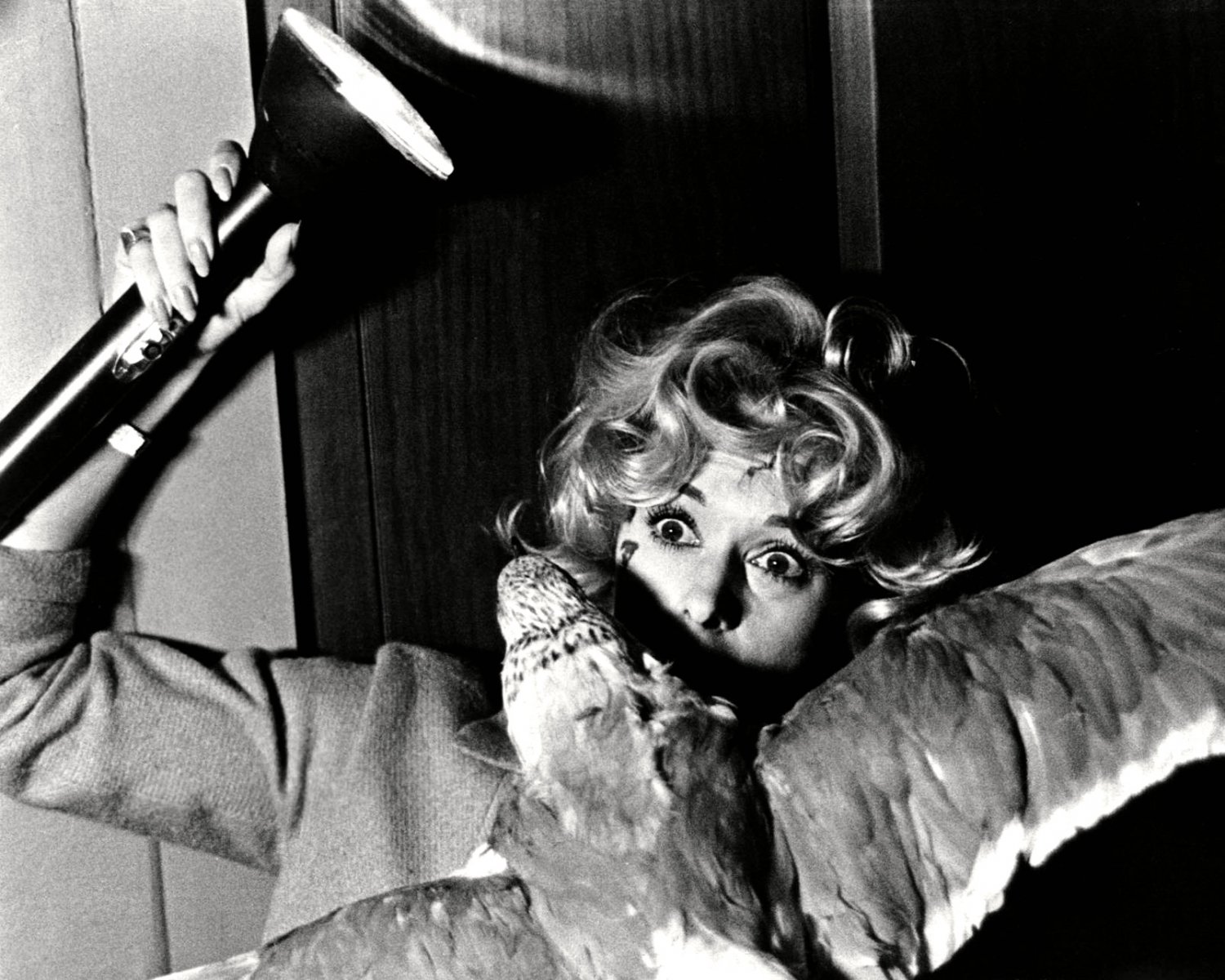 TIPPI HEDREN IN THE 'THE BIRDS' ALFRED HITCHCOCK - 8X10 PUBLICITY PHOTO (NN-123)