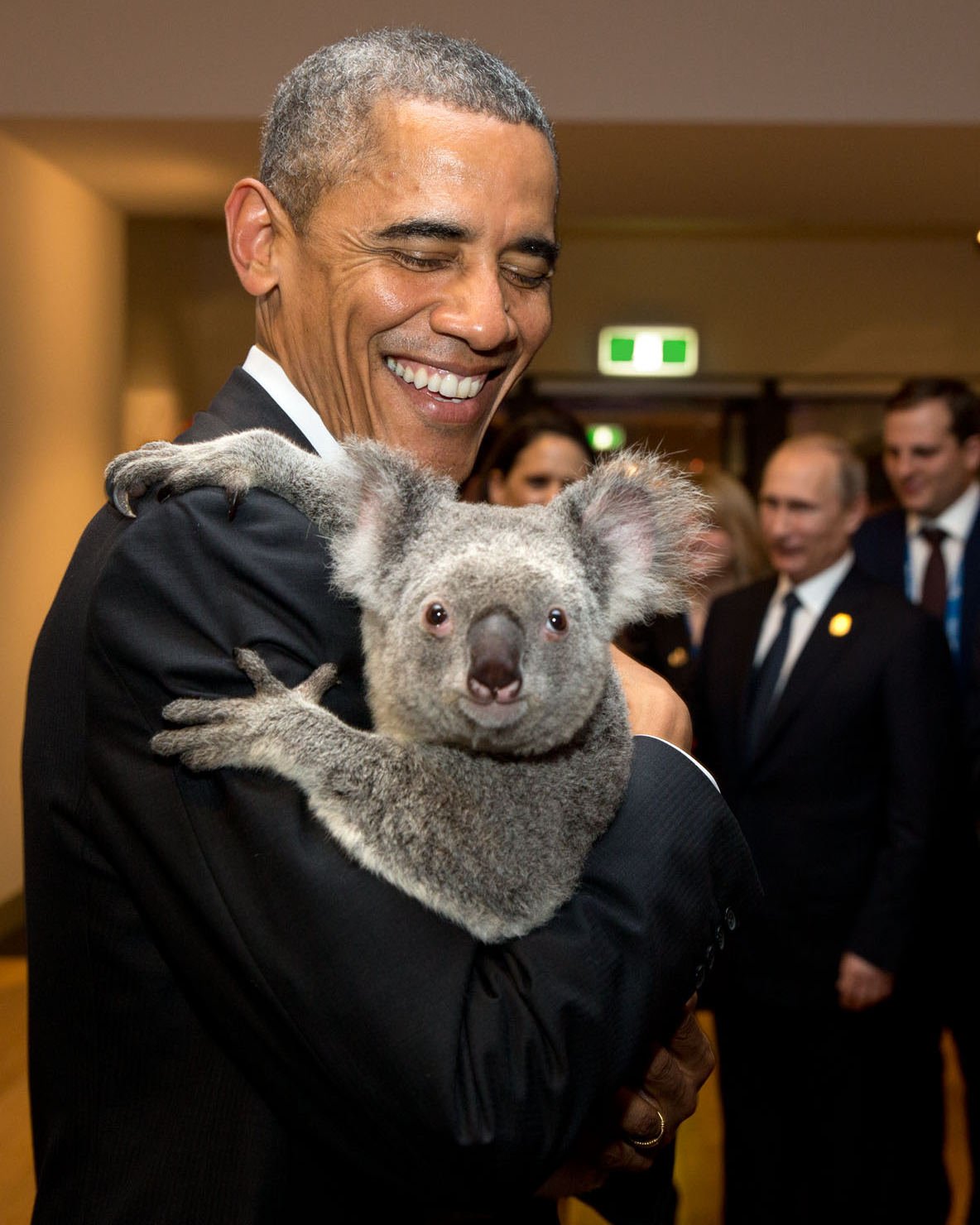 BARACK OBAMA HOLDS KOALA BEAR IN BRISBANE, AUSTRALIA @ G20 - 8X10 PHOTO (EE-042)