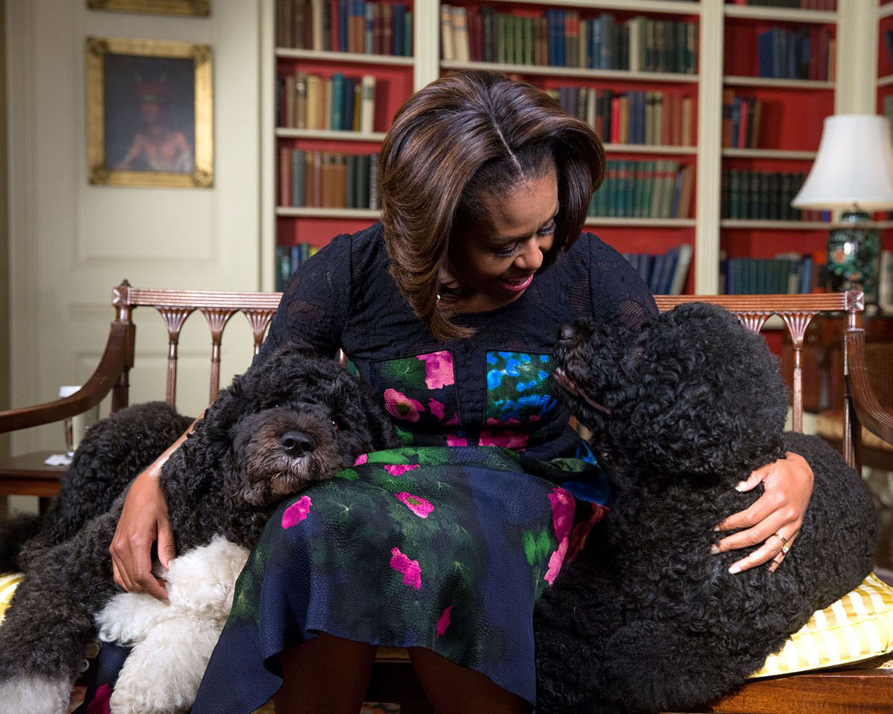 FIRST LADY MICHELLE OBAMA WITH FAMILY DOGS "BO" AND "SUNNY" 8X10 PHOTO (EE-065)