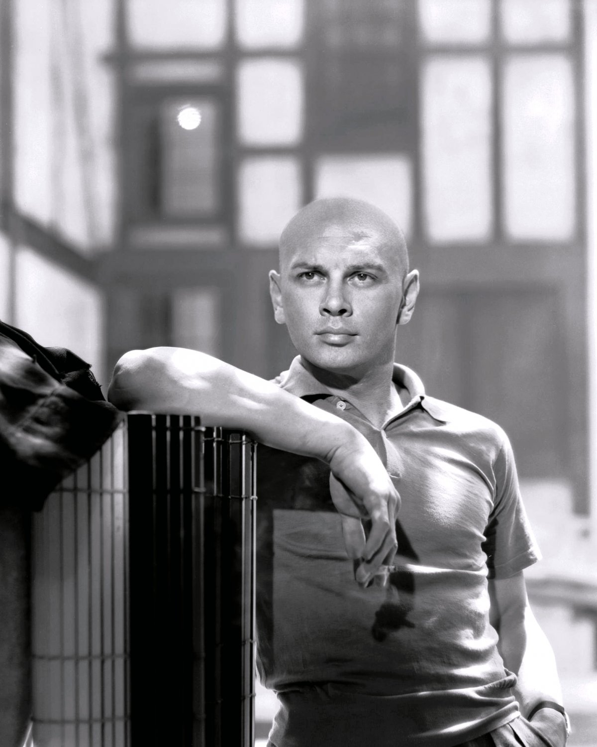 YUL BRYNNER LEGENDARY ACTOR - 8X10 PUBLICITY PHOTO (OP-040)