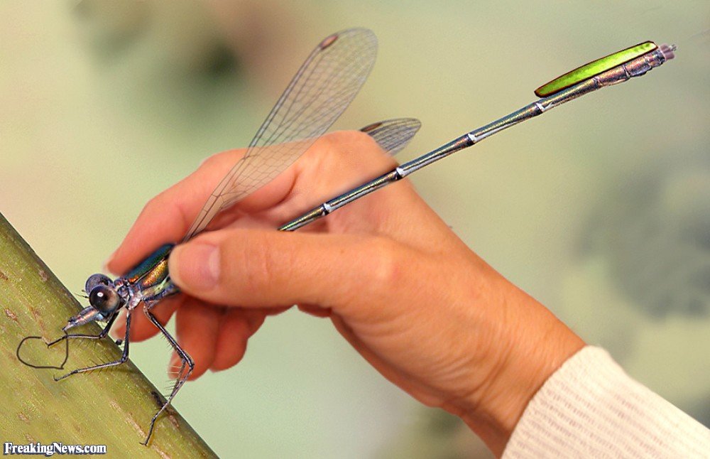 Dragon Fly Pen