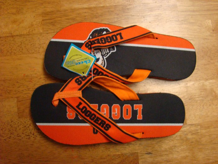 Flip Flops