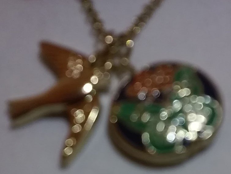 Gold necklace with a butterfly within a circle and a bird charm- 18 inch chain