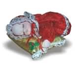 fabric baby music gift