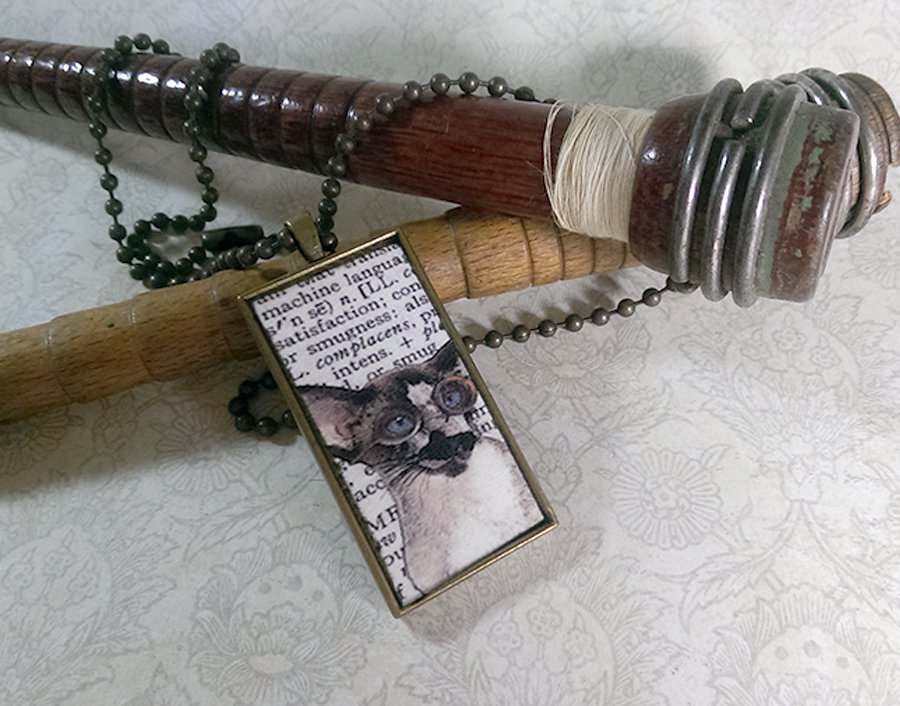 Steampunk Necklace: Brass Rectangle, Steampunk Cat Pendant - Astucious Siamese