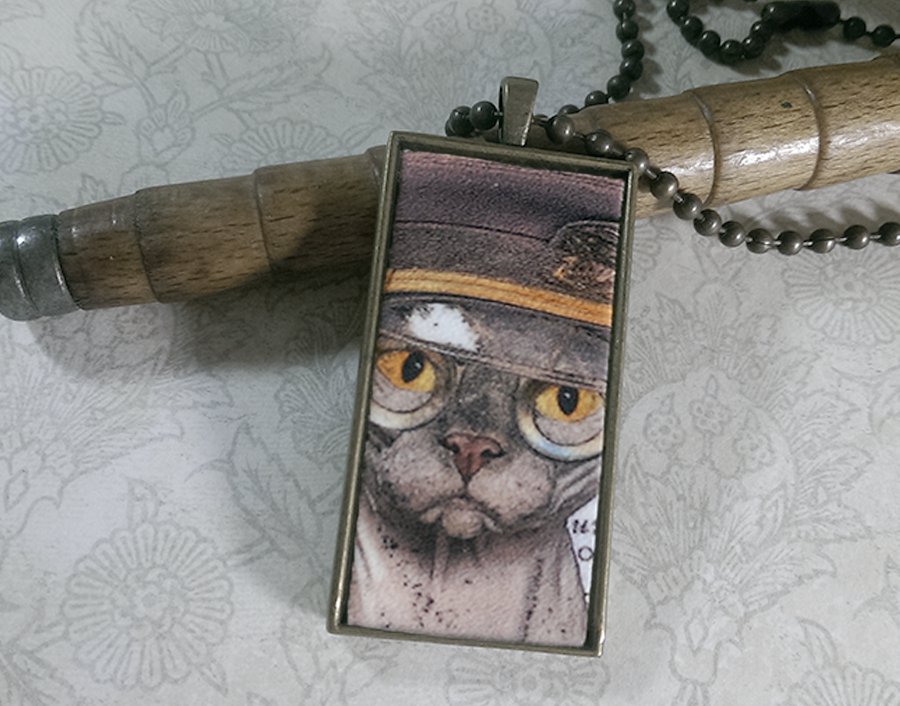 Steampunk Necklace: Brass Rectangle, Steampunk Cat Pendant - Militant Chinese Hairless Cat