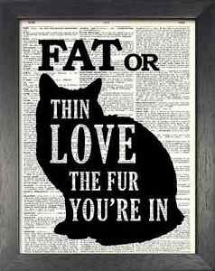 Dictionary Art, Word Art - Fat or Thin, Love the Fur You're In