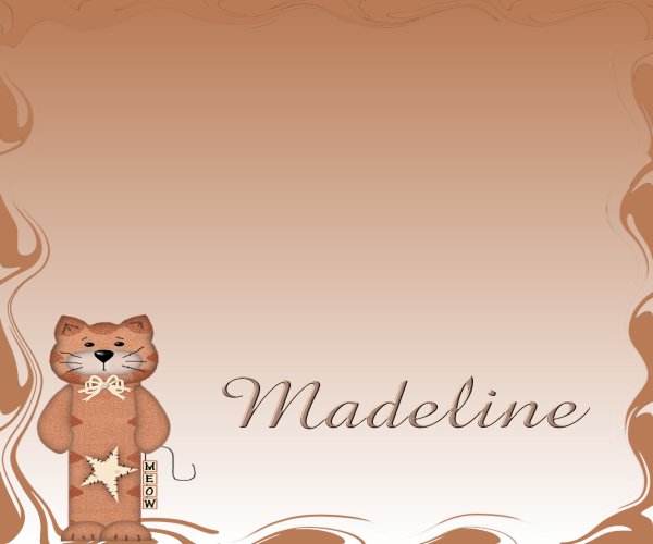 Orange Tabby Cat Checkbook Cover