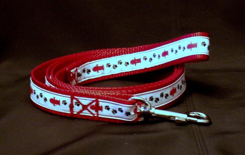 Dog Leash Puppy Paws and Hydrants