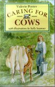 Caring For Cows by Valerie Porter