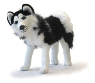 Standing Husky (16")