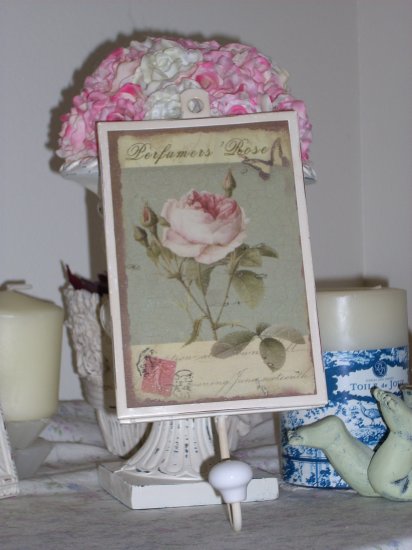 Chic n' Shabby decorative Wall hook