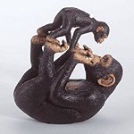 ALAB MONKEY PLAYING WITH CHIMP