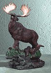 ALAB. MOOSE ON GRASS