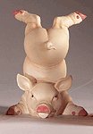 Porc. Pig Standing On Head