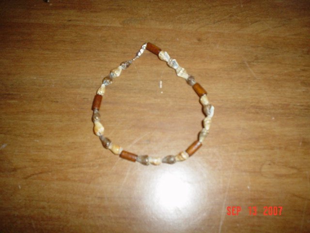 Water and Earth Shell Anklet
