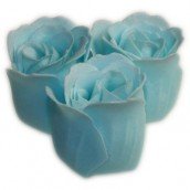 3 Ocean Bath Confetti Roses in Heart Box