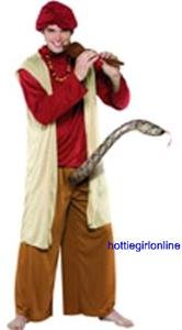 The Snake Charmer Costume