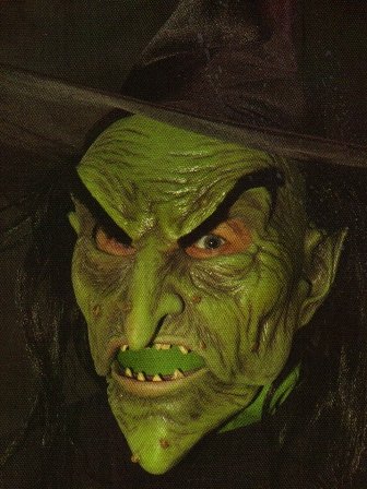 Ultimate Witch Action Halloween Mask