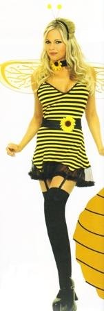 Honey Bee Womens Vinyl Halloween Costume