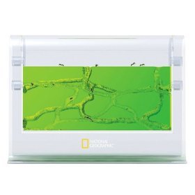 National Geographic Ant Gel Colony