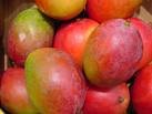 Tropical Mango