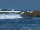 Ocean