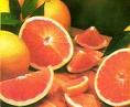 Pink Grapefruit