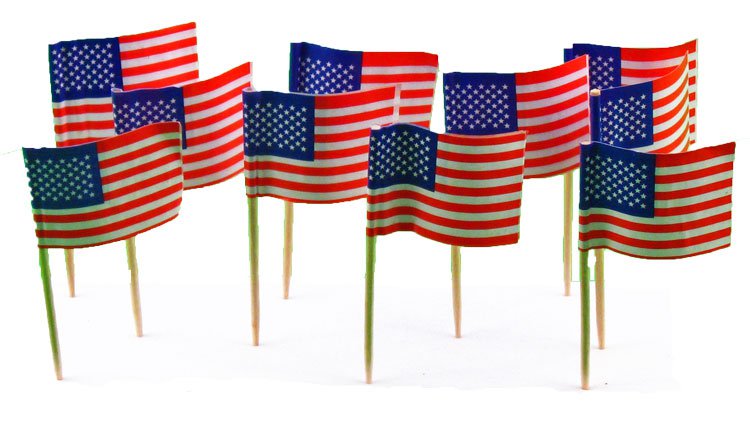 144 American Flag Mini Picks Toothpicks