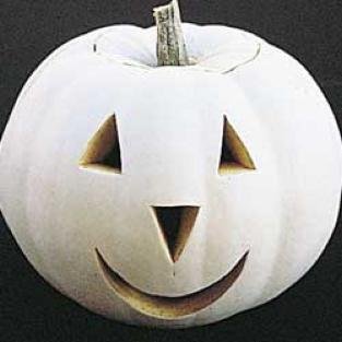 SPECIAL - GHOST PUMPKIN for carving or painting WHITE Seeds Annual Rare