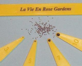 DON'T WASTE ANY SEEDS ... Use your Seed SpoonsTM Sowing TOOL Set