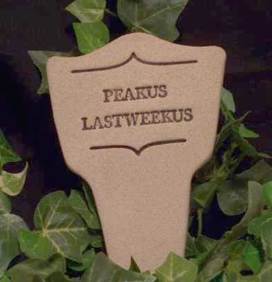'PEAKUS LASTWEEKUS' Humor in the Garden MARKER decor