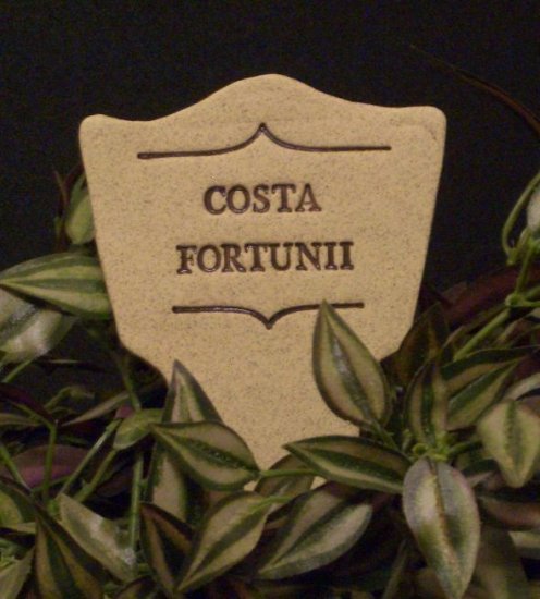 'COSTA FORTUNII' Humor in the Garden MARKER Decor