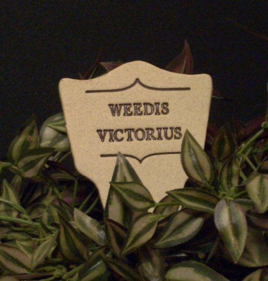'WEEDIS VICTORIUS' Humor in the Garden MARKER decor